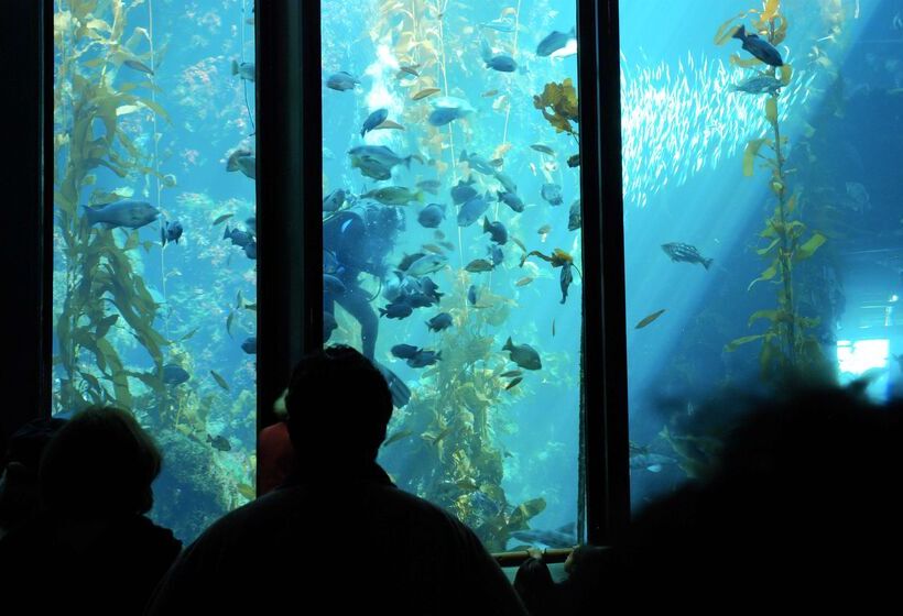 酒店 Hyatt House San Diego Sorrento Mesa