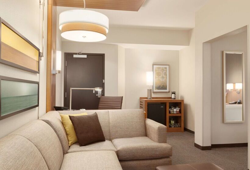 فندق Hyatt Place Phoenix Chandler Fashion Center