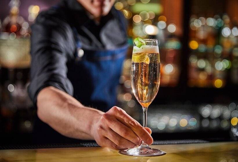 هتل Hyatt Regency Belgrade