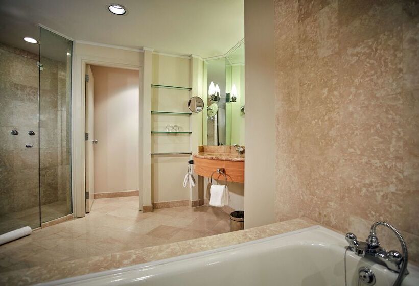 فندق Hyatt Regency Belgrade