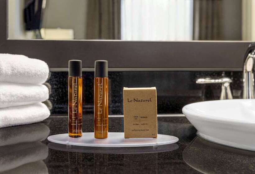 בית מלון כפרי Iban Dallas Park Central , Trademark By Wyndham