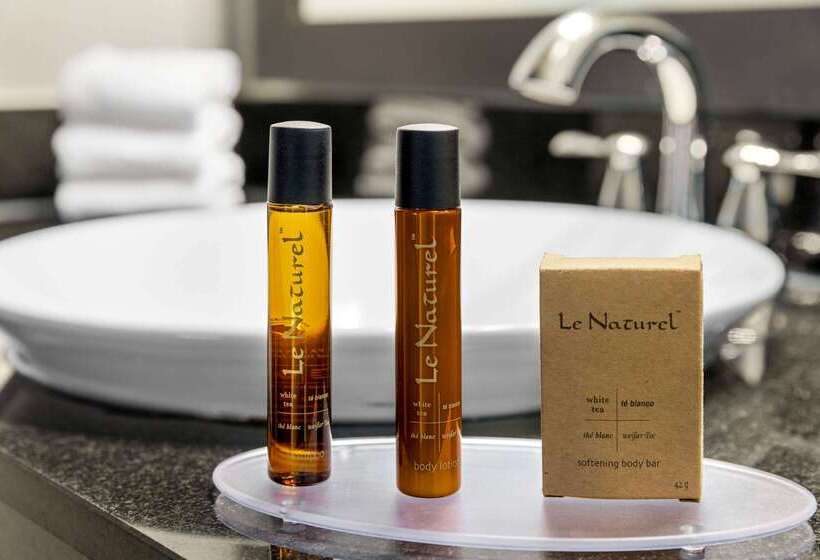 בית מלון כפרי Iban Dallas Park Central , Trademark By Wyndham