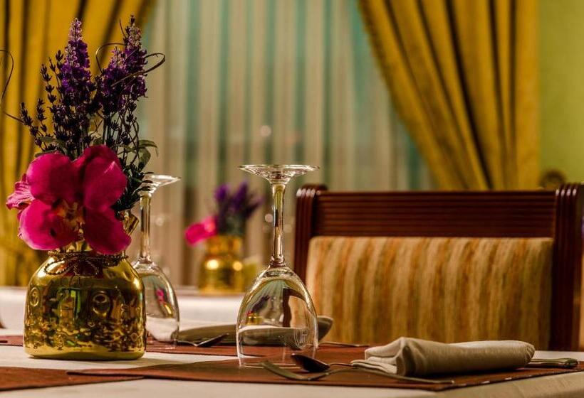 酒店 Infanta Cristina