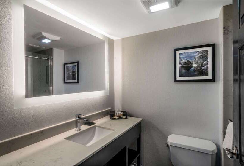 هتل La Quinta By Wyndham Raleigh Downtown North