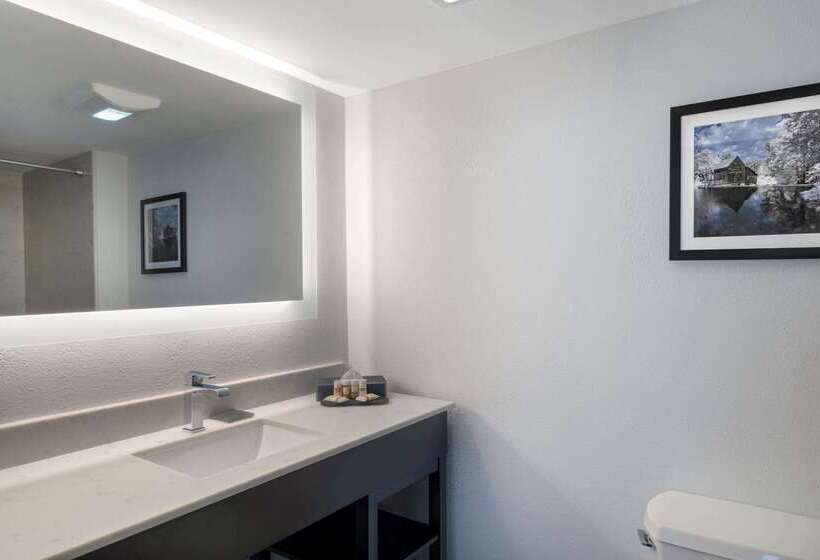 هتل La Quinta By Wyndham Raleigh Downtown North