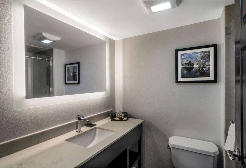 هتل La Quinta By Wyndham Raleigh Downtown North