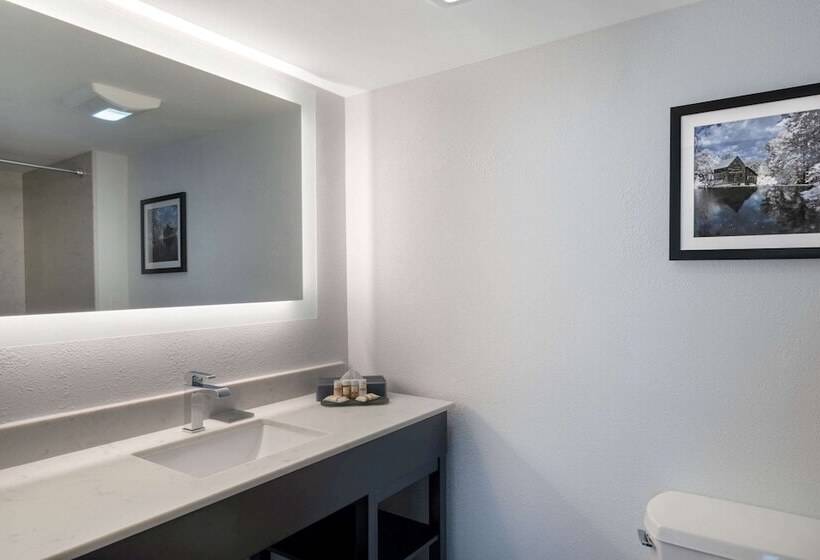 هتل La Quinta By Wyndham Raleigh Downtown North