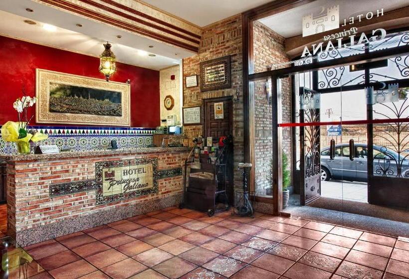 酒店 Princesa Galiana