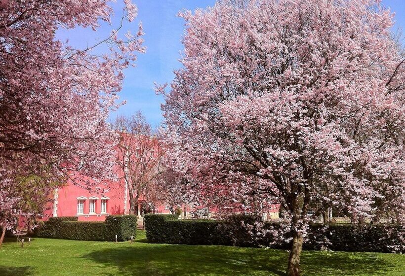 田舎風ホテル San Camilo