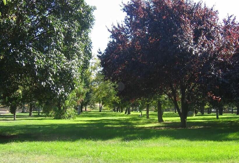 田舎風ホテル San Camilo