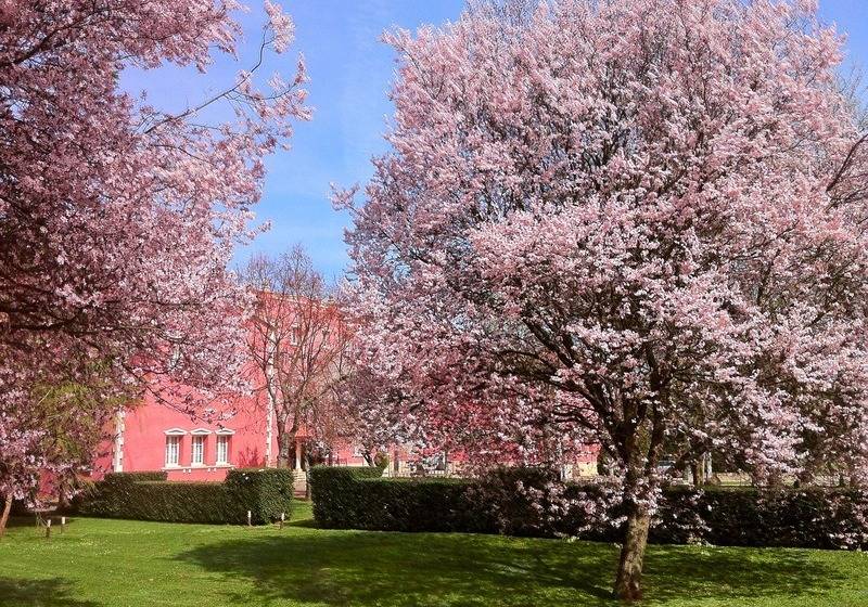 田舎風ホテル San Camilo