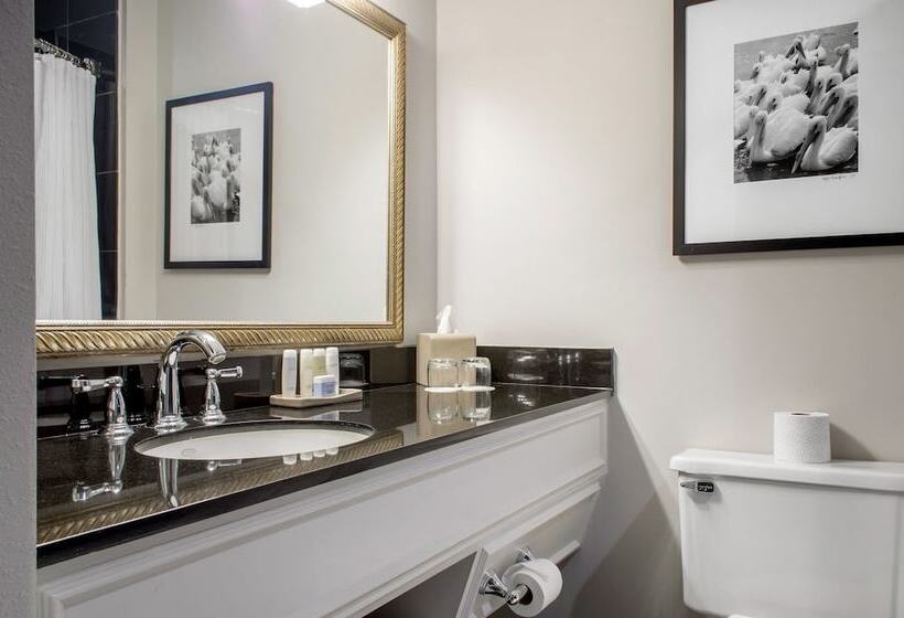 هتل Omni Riverfront New Orleans