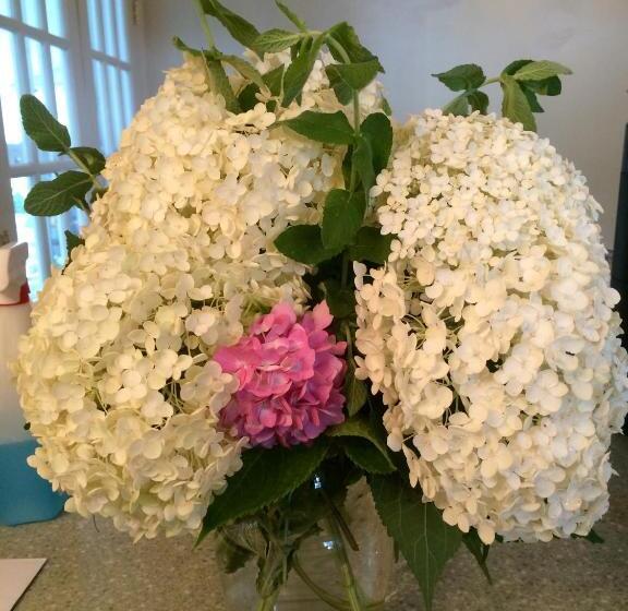 فندق William's Grant Inn Bed And Breakfast