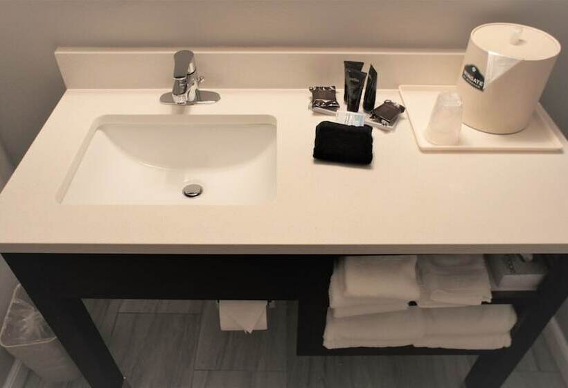 هتل Wingate By Wyndham Chattanooga