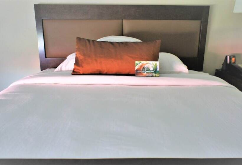 هتل Wingate By Wyndham Chattanooga