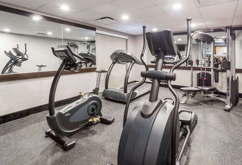 בית מלון כפרי Wingate By Wyndham, Universal Studios   Free Theme Park Shuttle