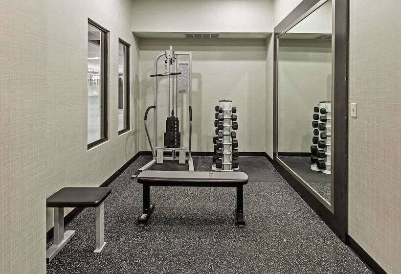 ホテル Comfort Inn & Suites Irving Las Colinas Dfw