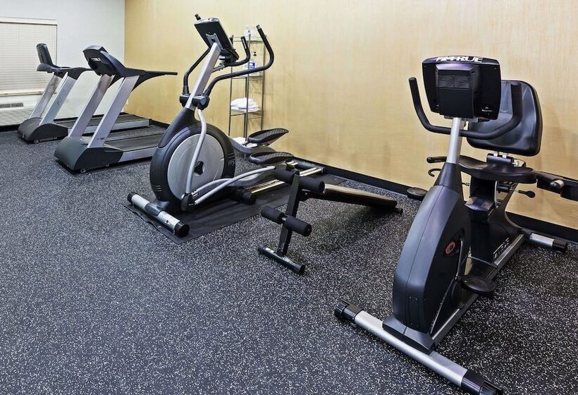 ホテル Comfort Inn & Suites Irving Las Colinas Dfw