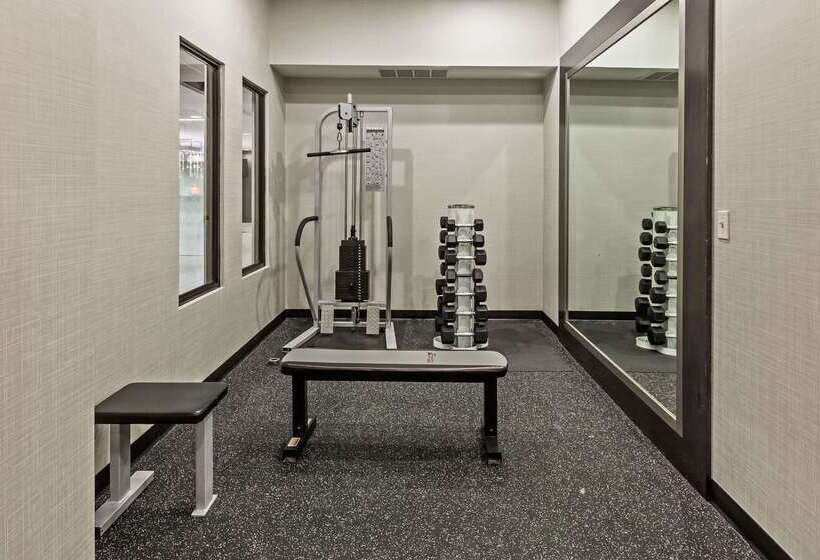 ホテル Comfort Inn & Suites Irving Las Colinas Dfw