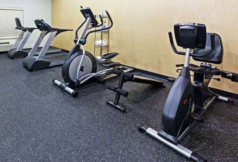 ホテル Comfort Inn & Suites Irving Las Colinas Dfw