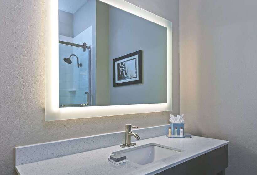 ホテル Comfort Inn & Suites Irving Las Colinas Dfw