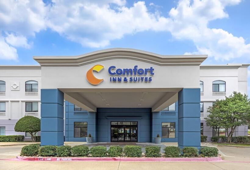 ホテル Comfort Inn & Suites Irving Las Colinas Dfw