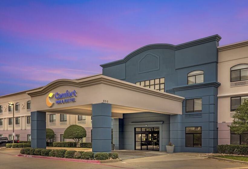 ホテル Comfort Inn & Suites Irving Las Colinas Dfw