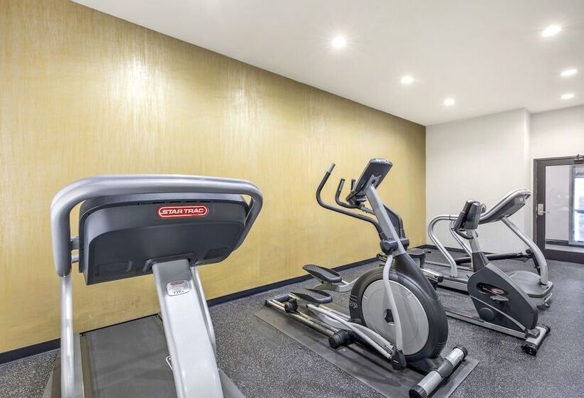 호텔 Comfort Inn & Suites Irving Las Colinas Dfw