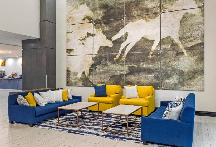 ホテル Comfort Inn & Suites Irving Las Colinas Dfw