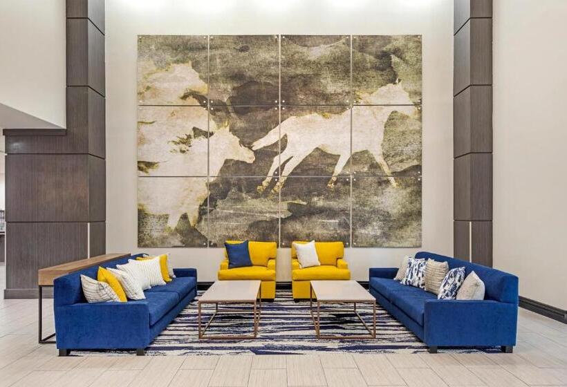 ホテル Comfort Inn & Suites Irving Las Colinas Dfw