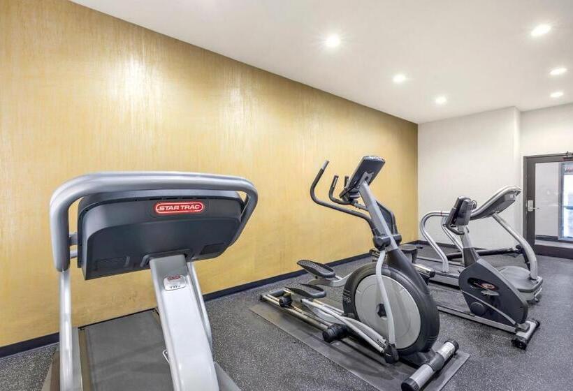 ホテル Comfort Inn & Suites Irving Las Colinas Dfw