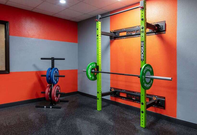 ホテル Wingate By Wyndham Dfw / North Irving