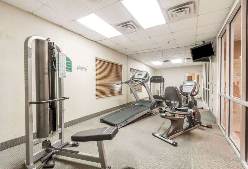 هتل Wingate By Wyndham Dfw / North Irving