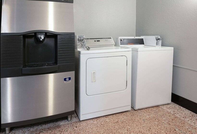 ホテル Wingate By Wyndham Dfw / North Irving