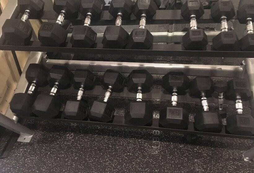 ホテル Wingate By Wyndham Dfw / North Irving