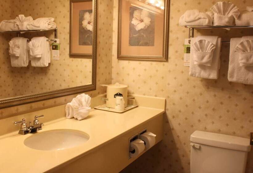 فندق Wingate By Wyndham Atlanta Duluth