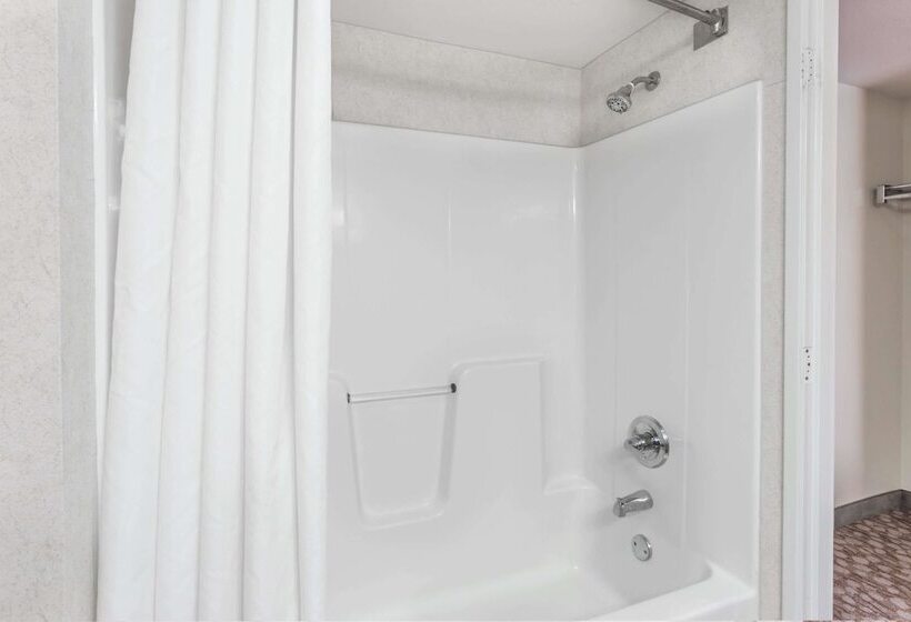 هتل Wingate By Wyndham Joliet