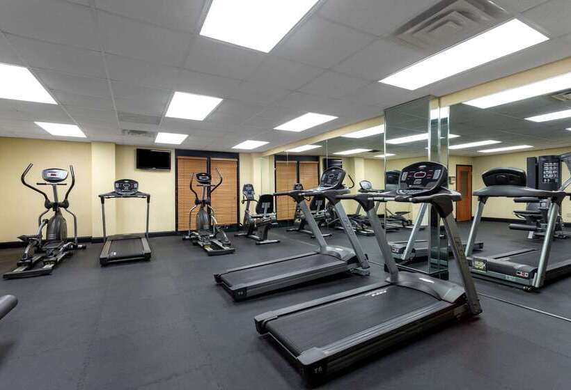 בית מלון כפרי Wingate By Wyndham Macon