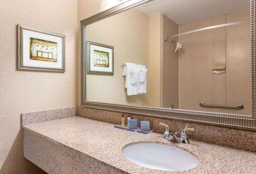 בית מלון כפרי Wingate By Wyndham Macon