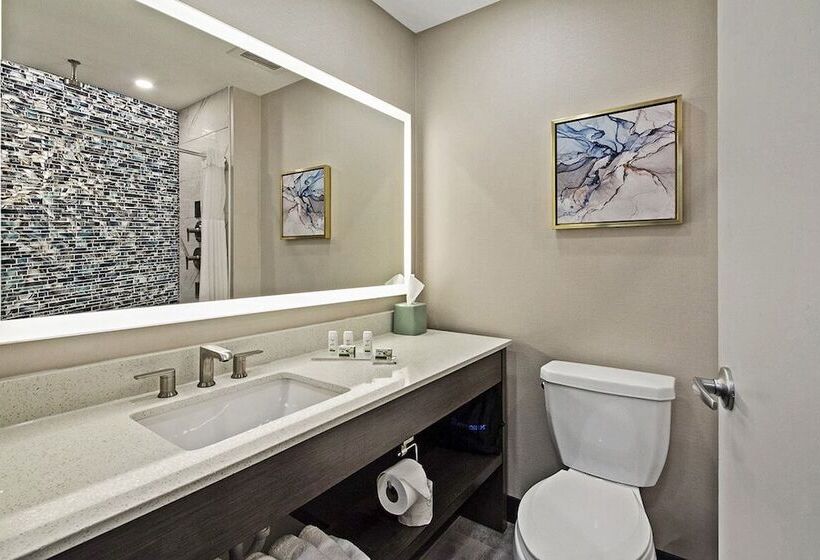 בית מלון כפרי Wingate By Wyndham Macon