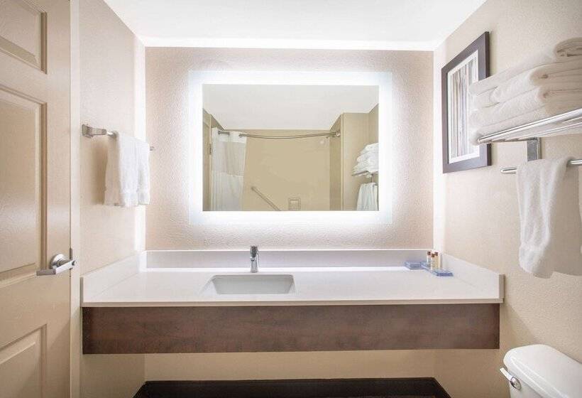 酒店 Wingate By Wyndham Mechanicsburg