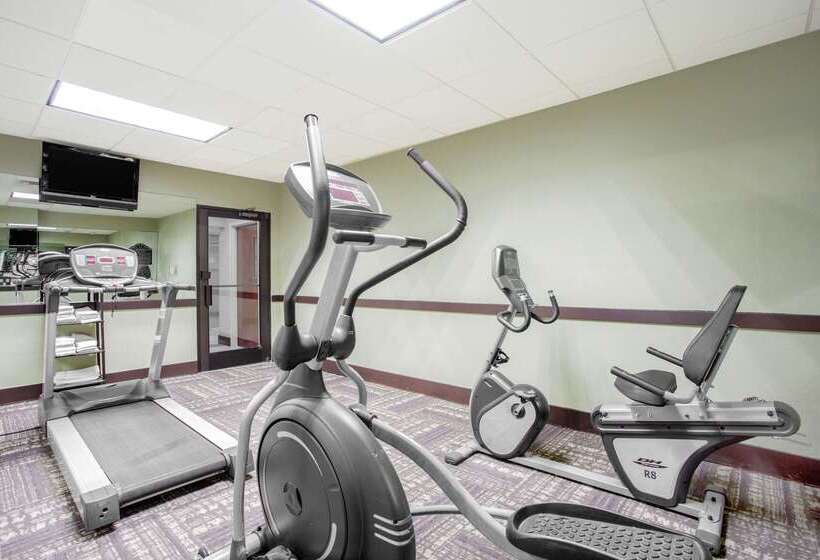 فندق Wingate By Wyndham Rock Hill / Charlotte / Metro Area