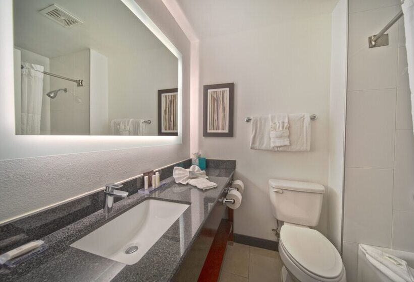 فندق Wingate By Wyndham And Williamson Conference Center