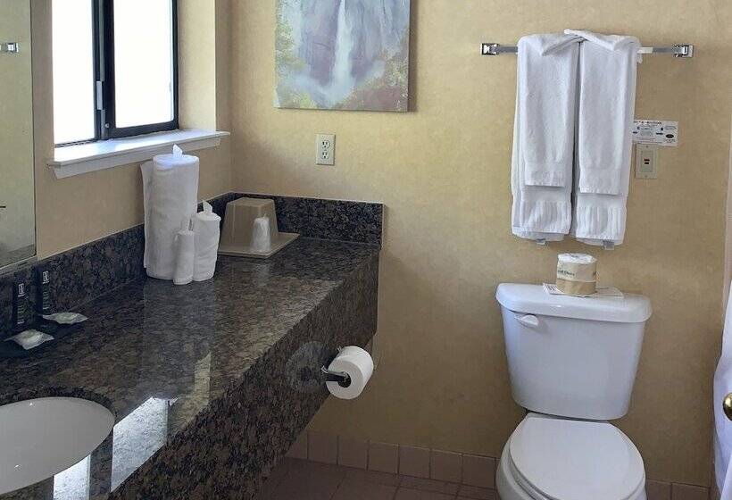 호텔 Yosemite View Lodge