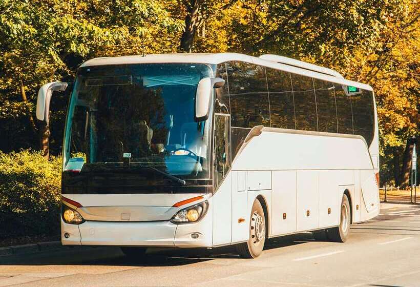 渡假胜地  Hilton Orlando Buena Vista Palace   Disney Springs® Area