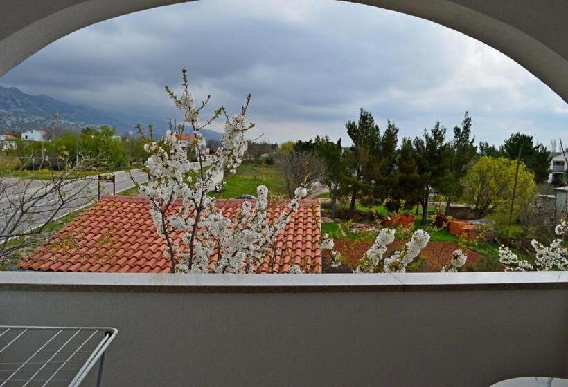 Apartments Ante 1306