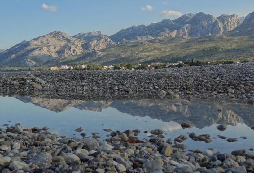 Apartments Ante 1306