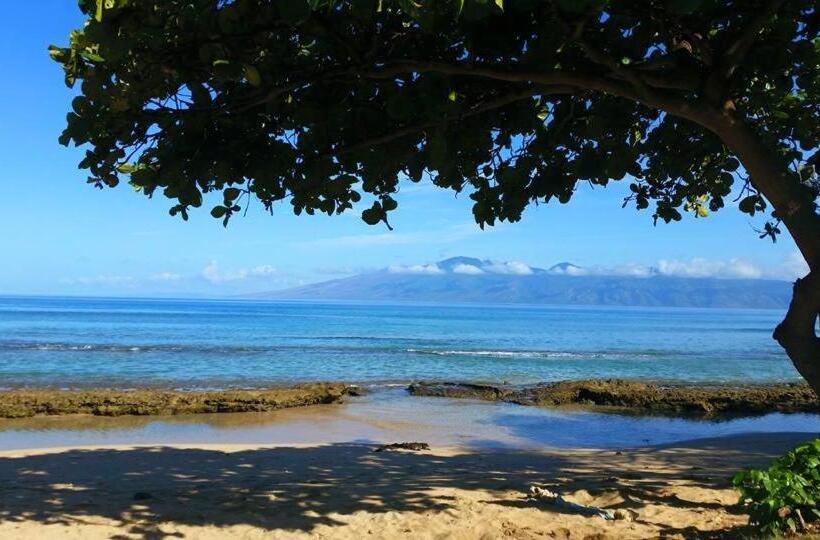Lahaina Wonderful Condos