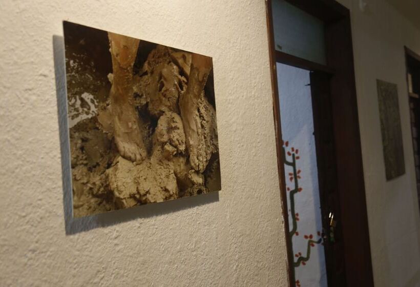 پانسیون San Marcos Cultural & Guesthouse