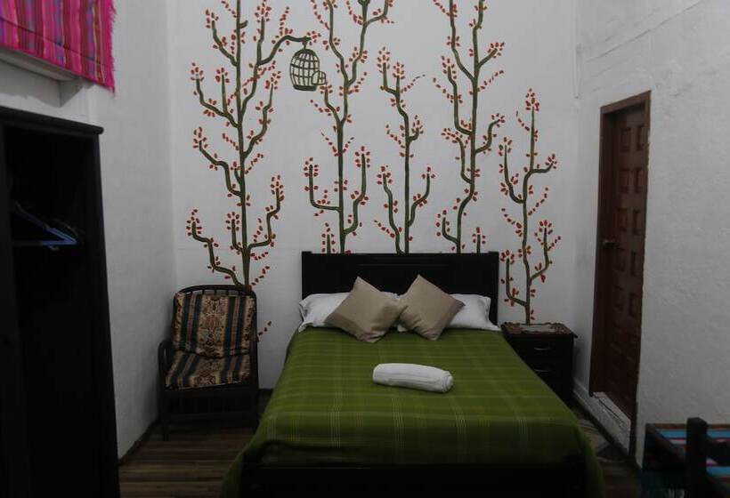 پانسیون San Marcos Cultural & Guesthouse